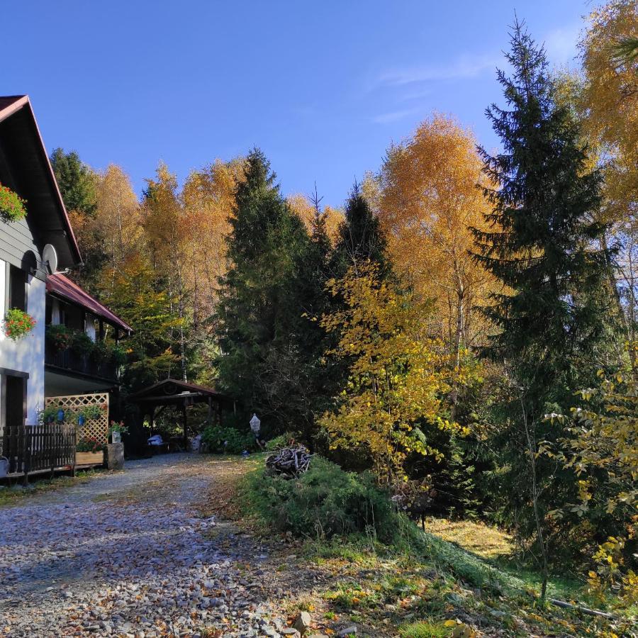 Kocia Gorka Appartement Wisła Buitenkant foto