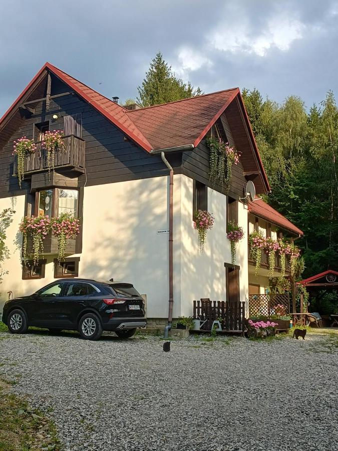 Kocia Gorka Appartement Wisła Buitenkant foto