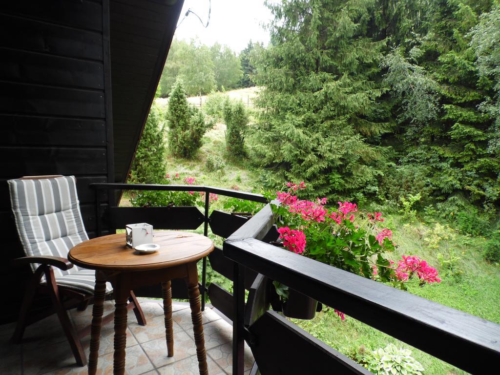 Kocia Gorka Appartement Wisła Buitenkant foto